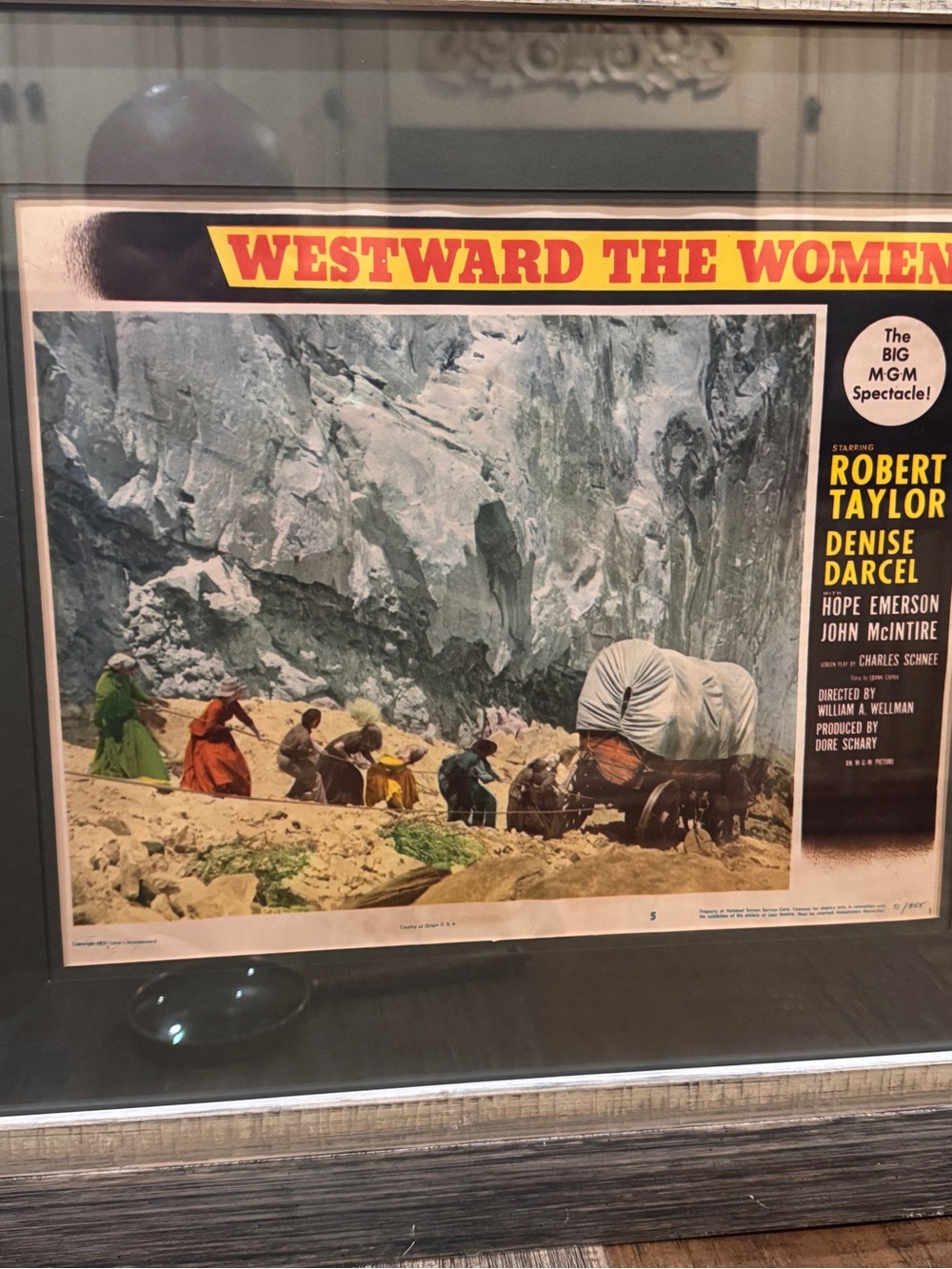 1951 original 20x24 Westward The Women Framed movie poster vintage - Multicolor
